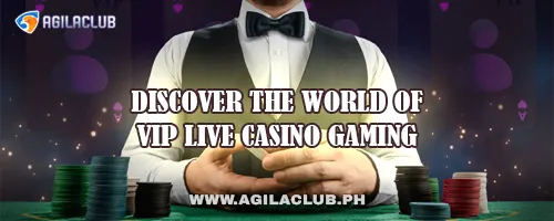 Discover the World of VIP Live Casino Gaming